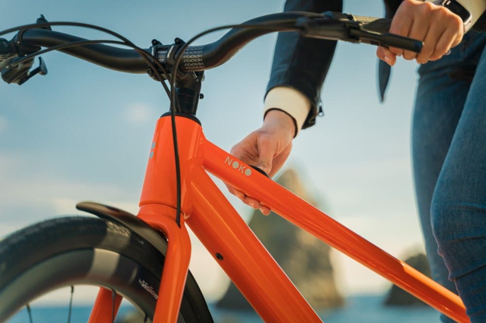 Save More, Ride Free: How an E-Bike Cuts Costs and Gives You More Freedom Than a Car