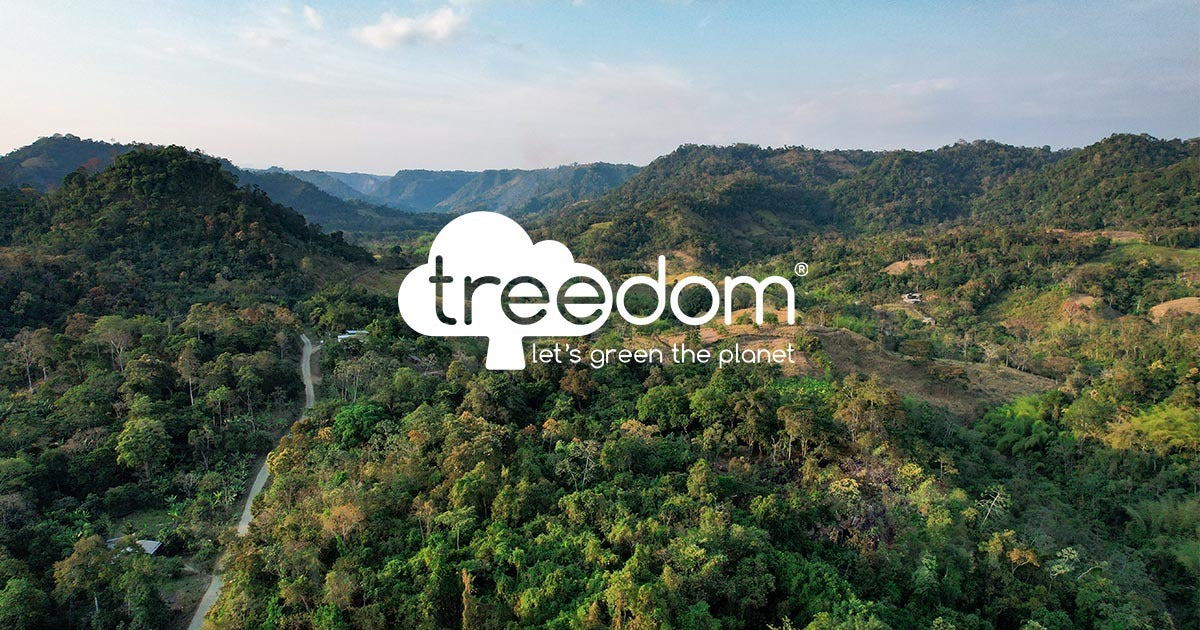 Pedaling for the Planet: NOKOBIKE x Treedom