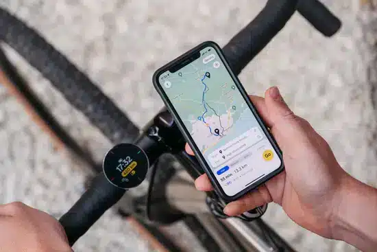 BEELINE – DISPLAY GPS
