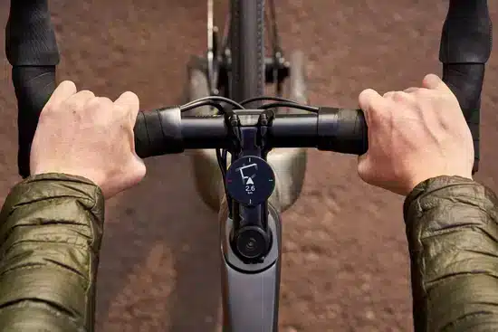 BEELINE – DISPLAY GPS